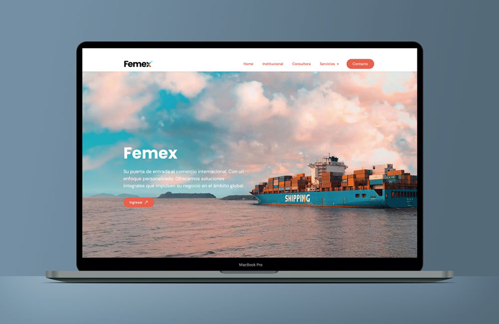 Skanisus Agencia Desarrollo Diseño Web Femex