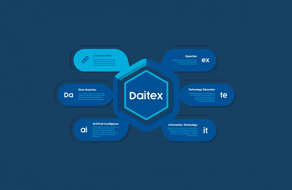 skanisus-portfolio-daitex-brandbook-branding